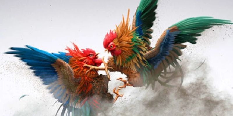 Cách tham gia trò chơi