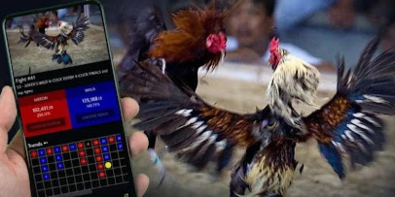 Chiến lược cá cược hiệu quả